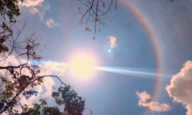Calor hacia arriba, quinto registro más elevado de este año