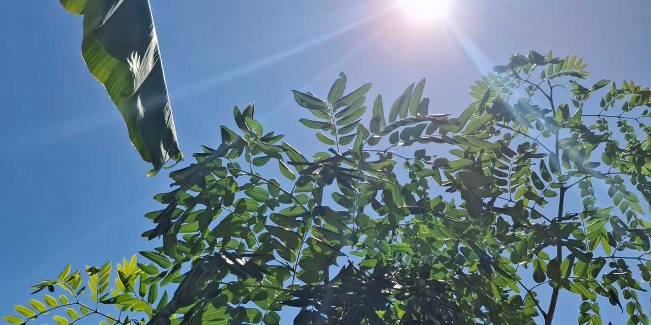 Domingo soleado y de calor