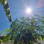 Domingo soleado y de calor