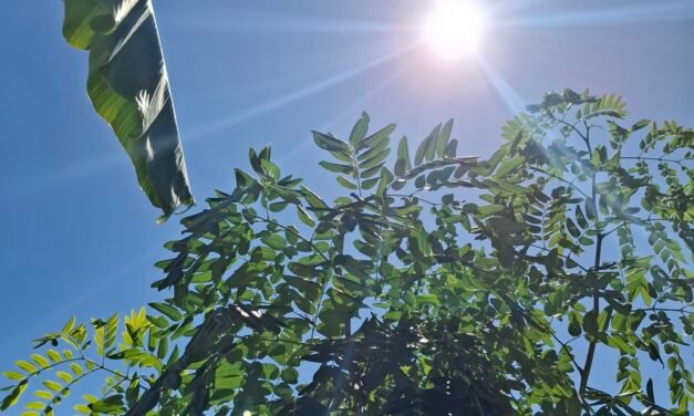 Domingo soleado y de calor