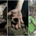 Ticimul, ‘la vecina’ olvidada de Chichén Itzá