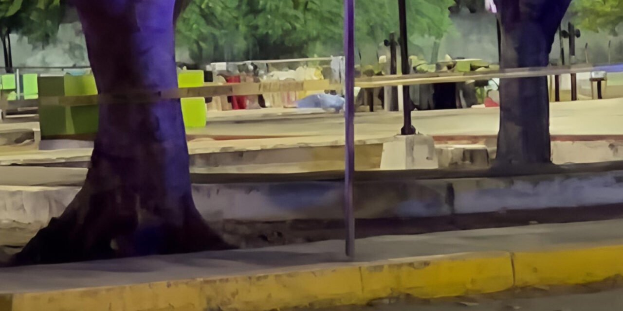 Agresión mortal en parque cercano a colonia Polígono 108