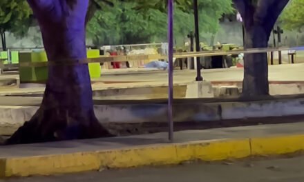 Agresión mortal en parque cercano a colonia Polígono 108