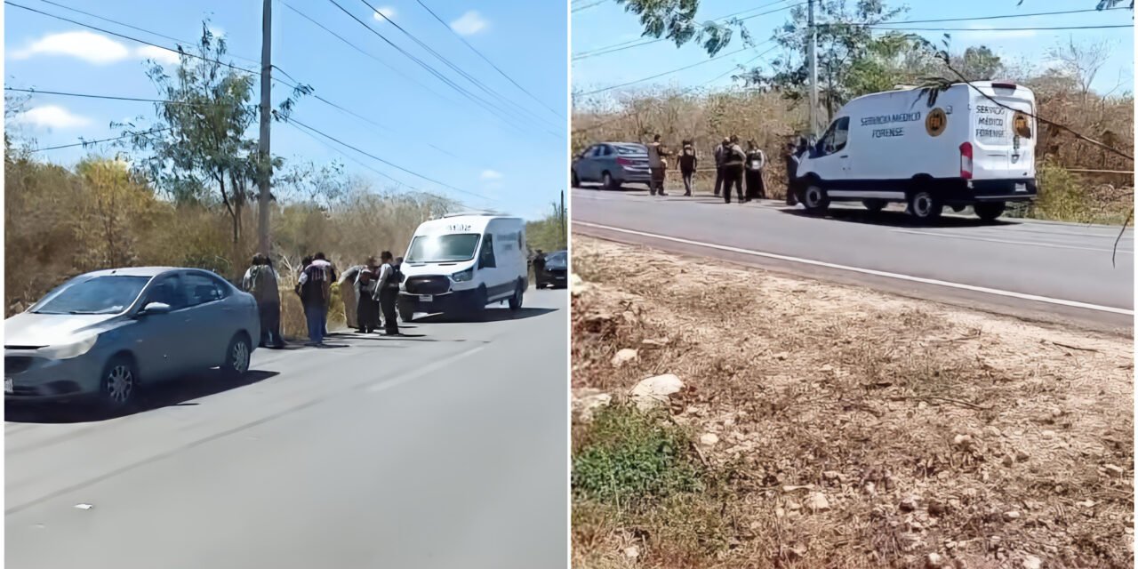 Lo hallan suspendido en baldío al sur de Mérida