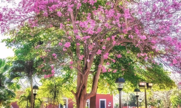 Poco frío, escasa lluvia en región peninsular; llega la primavera