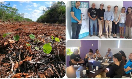 Aval de relator de ONU frente a crisis socioambiental