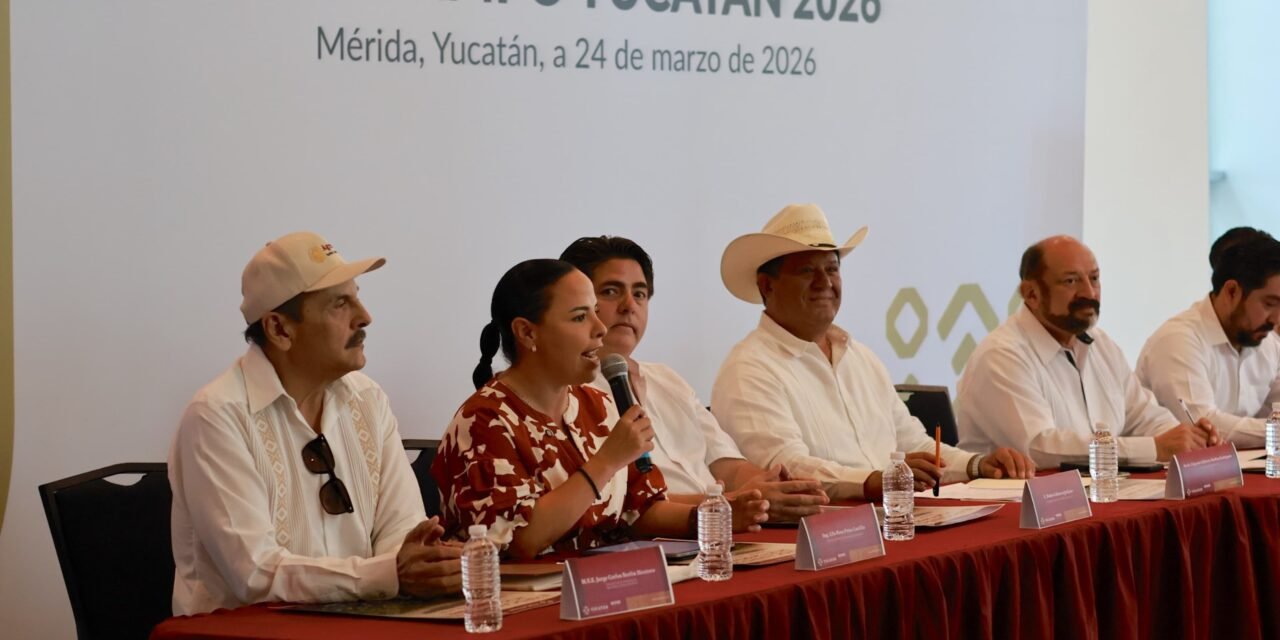 ‘Estrellas del ivonnato’ renacen con la 4T