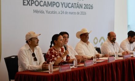 ‘Estrellas del ivonnato’ renacen con la 4T