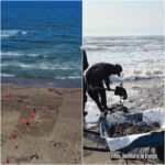 Ocultó Pemex derrame desde febrero, según ONGs