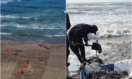 Ocultó Pemex derrame desde febrero, según ONGs