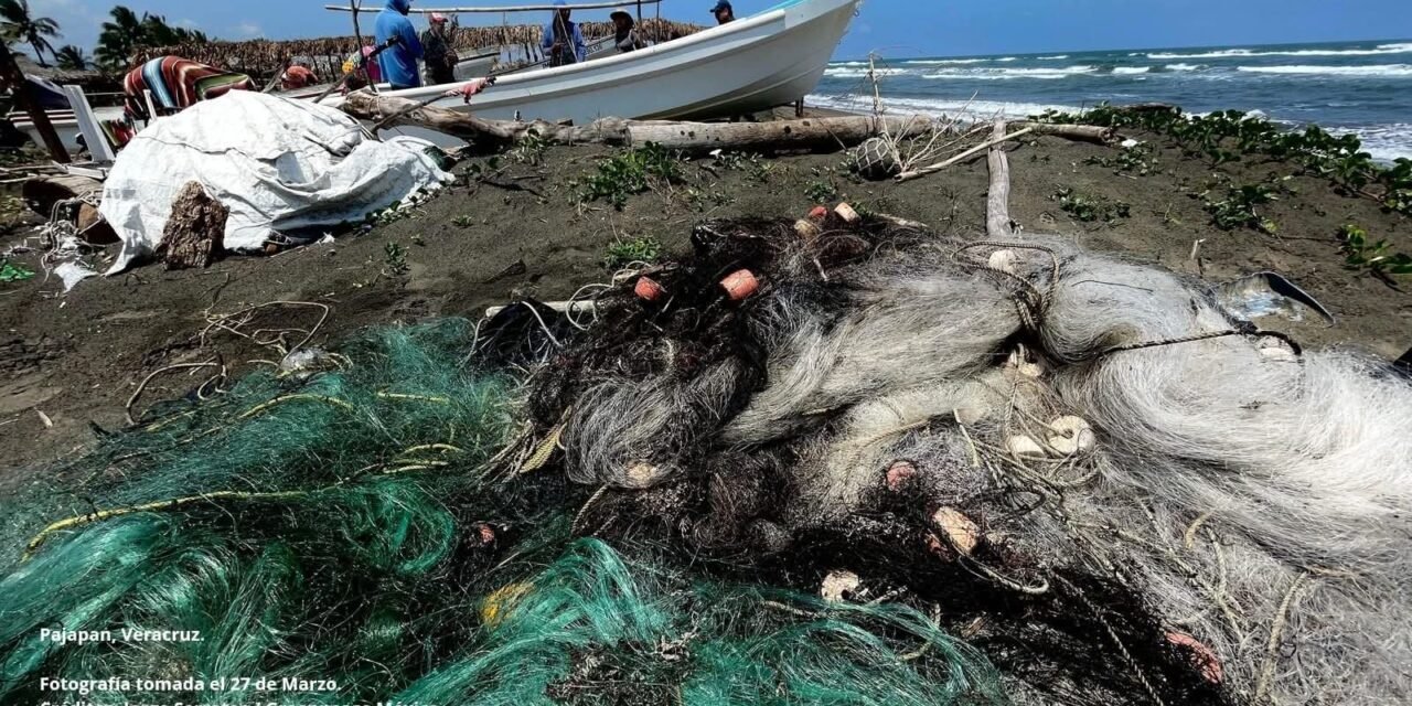 Todo el Corredor Arrecifal del Suroeste afectado por petróleo