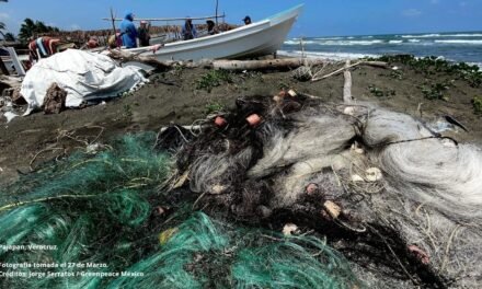 Todo el Corredor Arrecifal del Suroeste afectado por petróleo