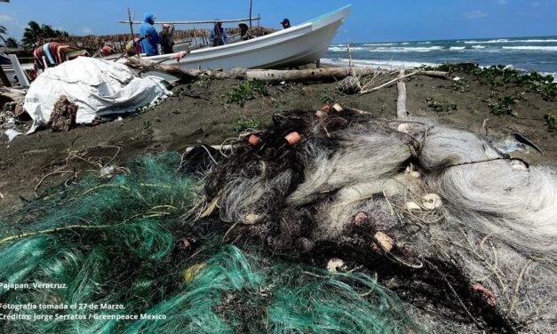 Todo el Corredor Arrecifal del Suroeste afectado por petróleo