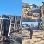 Volcadura de tráiler repleto de cerdos en carretera Valladolid-Temozón