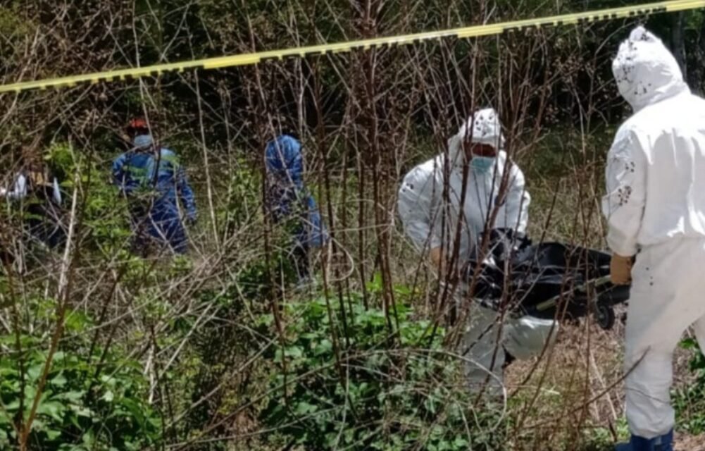 Macabro hallazgo en Ucú: cuerpo devorado por animales