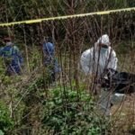 Macabro hallazgo en Ucú: cuerpo devorado por animales