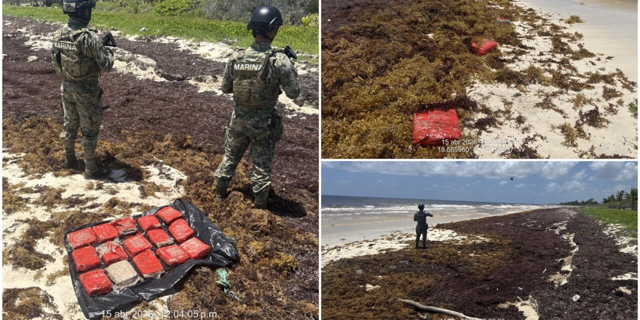 Junto con sargazo, paquetes de presunta droga en Mahahual