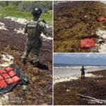 Junto con sargazo, paquetes de presunta droga en Mahahual