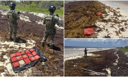 Junto con sargazo, paquetes de presunta droga en Mahahual