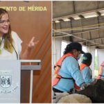 ‘Claridad, transparencia y proceso justo”: Cecilia en tema de SAU