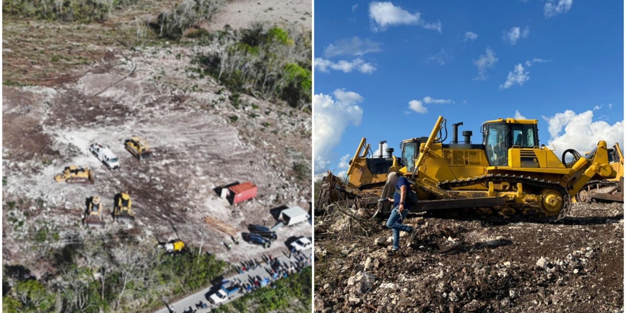 Denuncia ciudadana destapa tala ilegal en Tekax; aseguran maquinaria