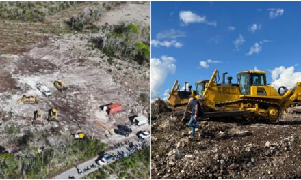 Denuncia ciudadana destapa tala ilegal en Tekax; aseguran maquinaria