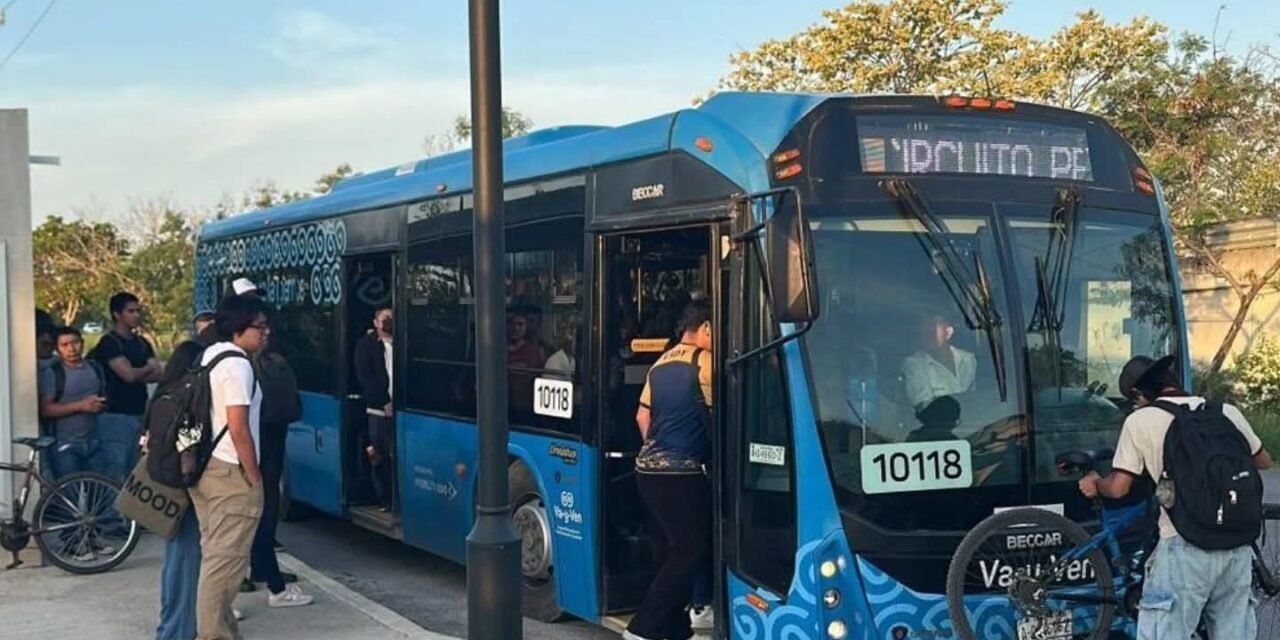 ‘Va y Ven no se va, se queda, crece y se transforma’