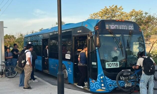 ‘Va y Ven no se va, se queda, crece y se transforma’