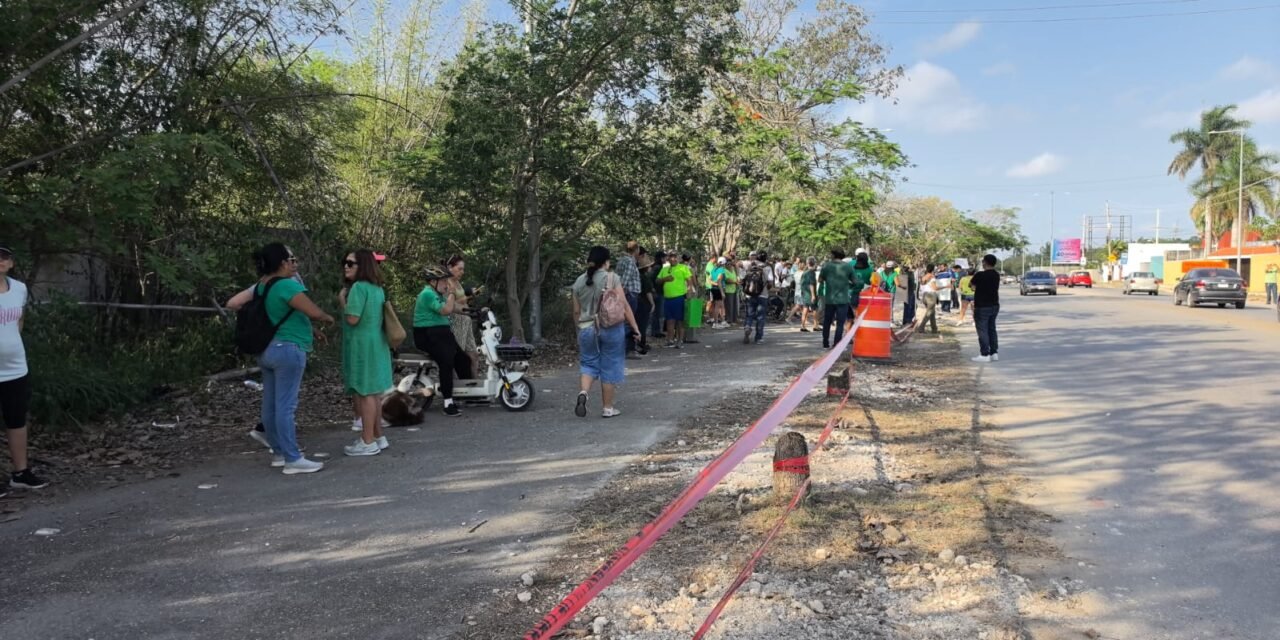 Sin tolerancia a ‘depredadores’ de árboles en Mérida