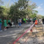 Sin tolerancia a ‘depredadores’ de árboles en Mérida
