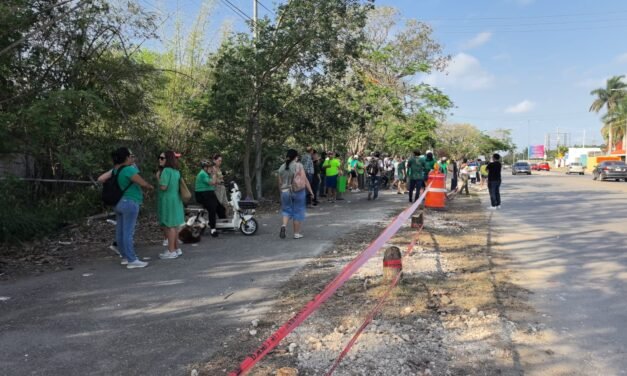 Sin tolerancia a ‘depredadores’ de árboles en Mérida
