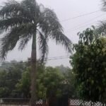 Pronóstico de turbonadas puntuales y lluvias de la Santa Cruz