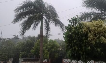 Pronóstico de turbonadas puntuales y lluvias de la Santa Cruz