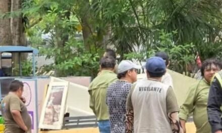 El trenecito del Centenario se queda; analizan hasta modelo eléctrico