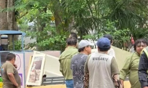 El trenecito del Centenario se queda; analizan hasta modelo eléctrico