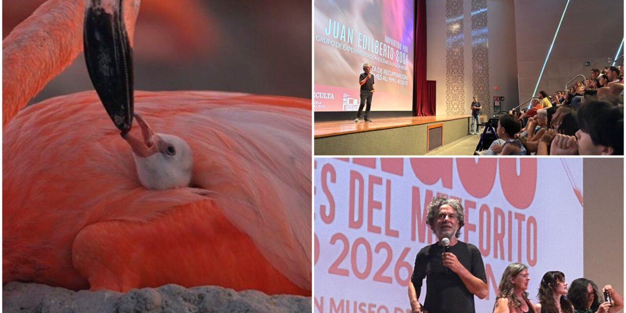 Lorenzo Hagerman y la supervivencia colectiva del flamingo