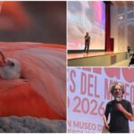 Lorenzo Hagerman y la supervivencia colectiva del flamingo