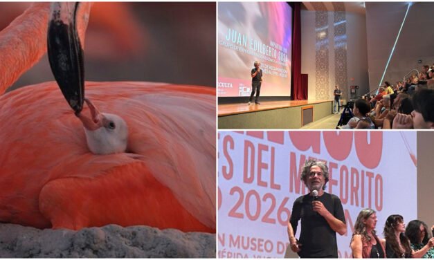 Lorenzo Hagerman y la supervivencia colectiva del flamingo
