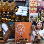 Miel yucateca: de la cocina gourmet a la cosmética natural