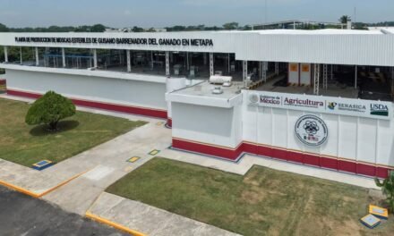 Nueva fase de combate a gusano barrenador desde Chiapas