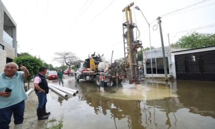 ‘Jardines de lluvia y biosistemas pluviales’, contra encharcamientos