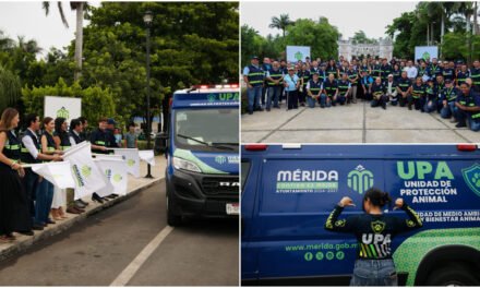 Arranca mega operativo para atender denuncias de maltrato animal en Mérida