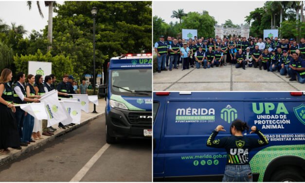 Arranca mega operativo para atender denuncias de maltrato animal en Mérida