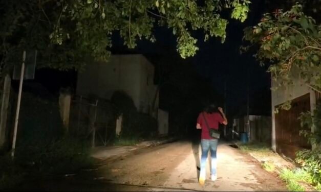 Cholul sin electricidad desde la noche del viernes