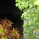 Apagones en Mérida: de breves a prolongados; hasta 30 horas sin luz