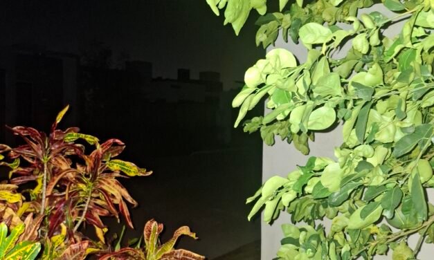 Apagones en Mérida: de breves a prolongados; hasta 30 horas sin luz