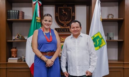 En busca de respaldo ciudadano para proyectos estratégicos