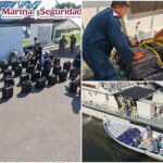 Nuevo golpe al tráfico ilegal: ahora, por unos 335 millones de pesos