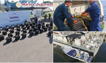 Nuevo golpe al tráfico ilegal: ahora, por unos 335 millones de pesos