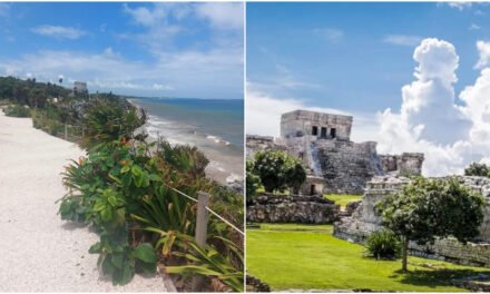 Desplome turístico ¿Por qué la reversa en Tulum?